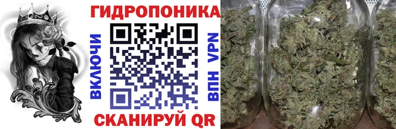 Где найти наркотики Циолковский Псилоцибиновые грибы  ГАШ  COCAIN  Амфетамин 