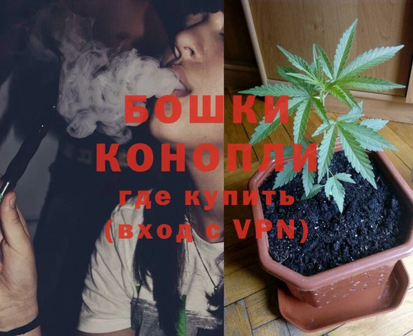 гидра Аркадак