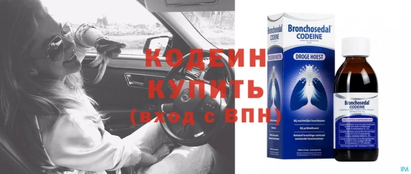 гидра Аркадак