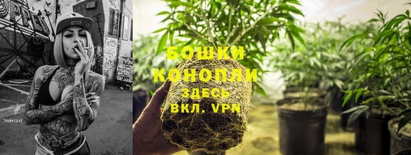 гидра Аркадак