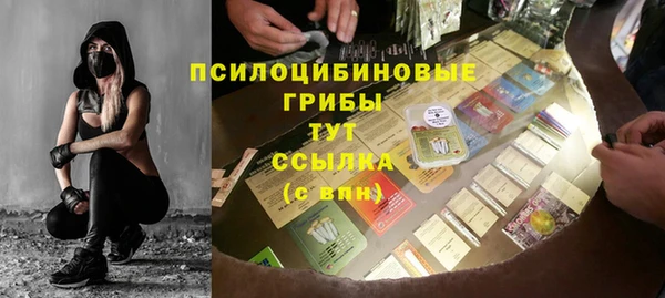 гидра Аркадак