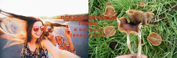 стафф Арсеньев