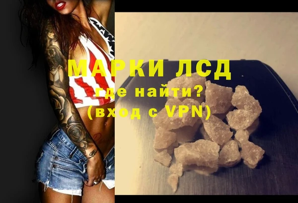 стафф Арсеньев