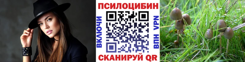 блэк спрут зеркало  это состав  Галлюциногенные грибы Magic Shrooms  Циолковский 