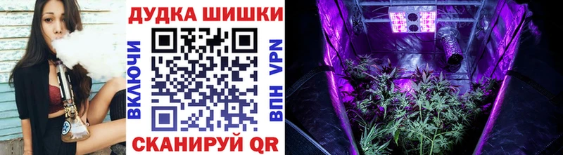 Бошки Шишки гибрид  Циолковский 